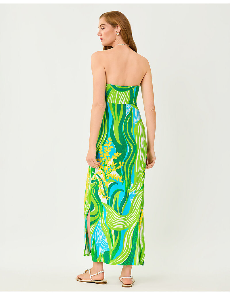 Lilly Pulitzer Noa Strapless Maxi Dress