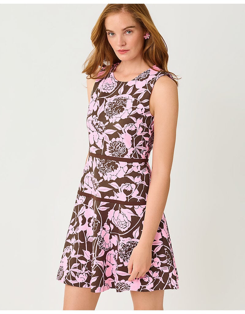 Lilly Pulitzer Vivette Dress
