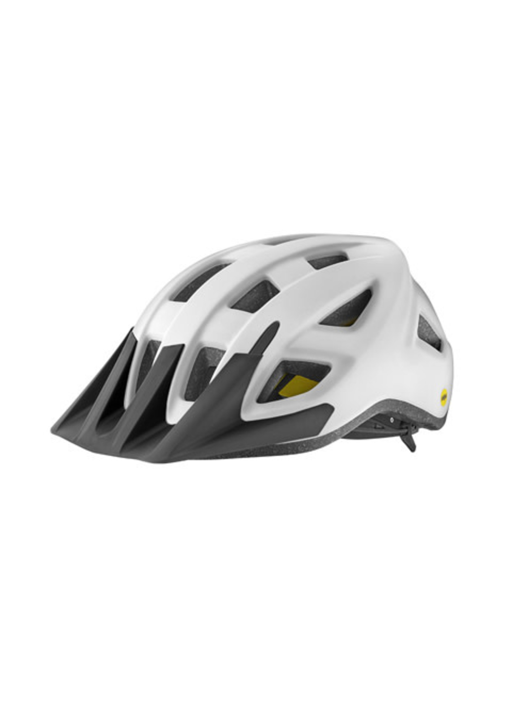 Giant Giant Path MIPS Helmet