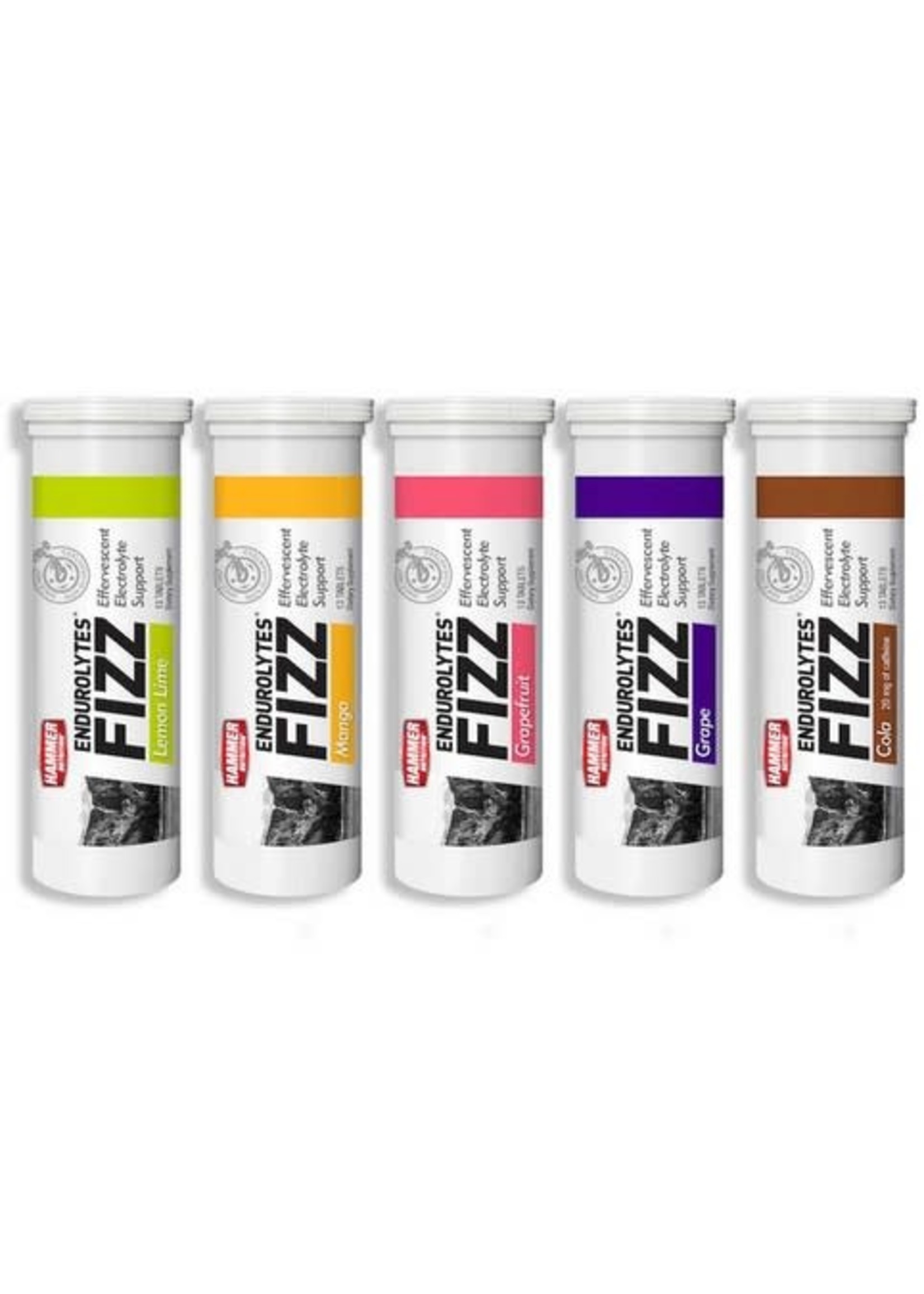 Hammer Nutrition Hammer Endurolytles Fizz Tablets