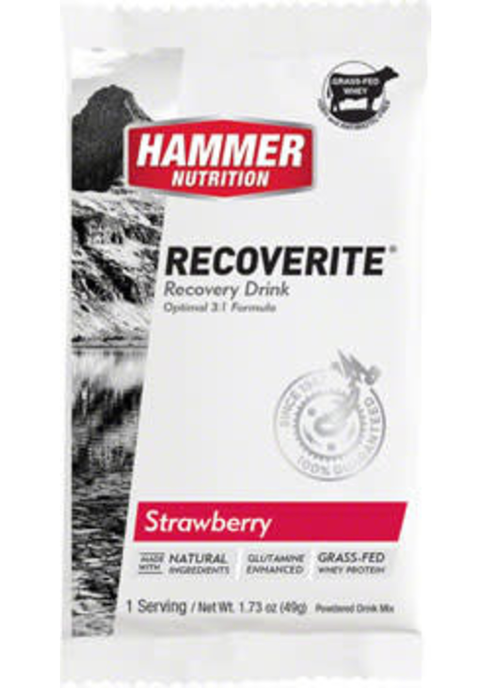 Hammer Nutrition Recoverite Original/2.0-Multiple Flavors and Sizes