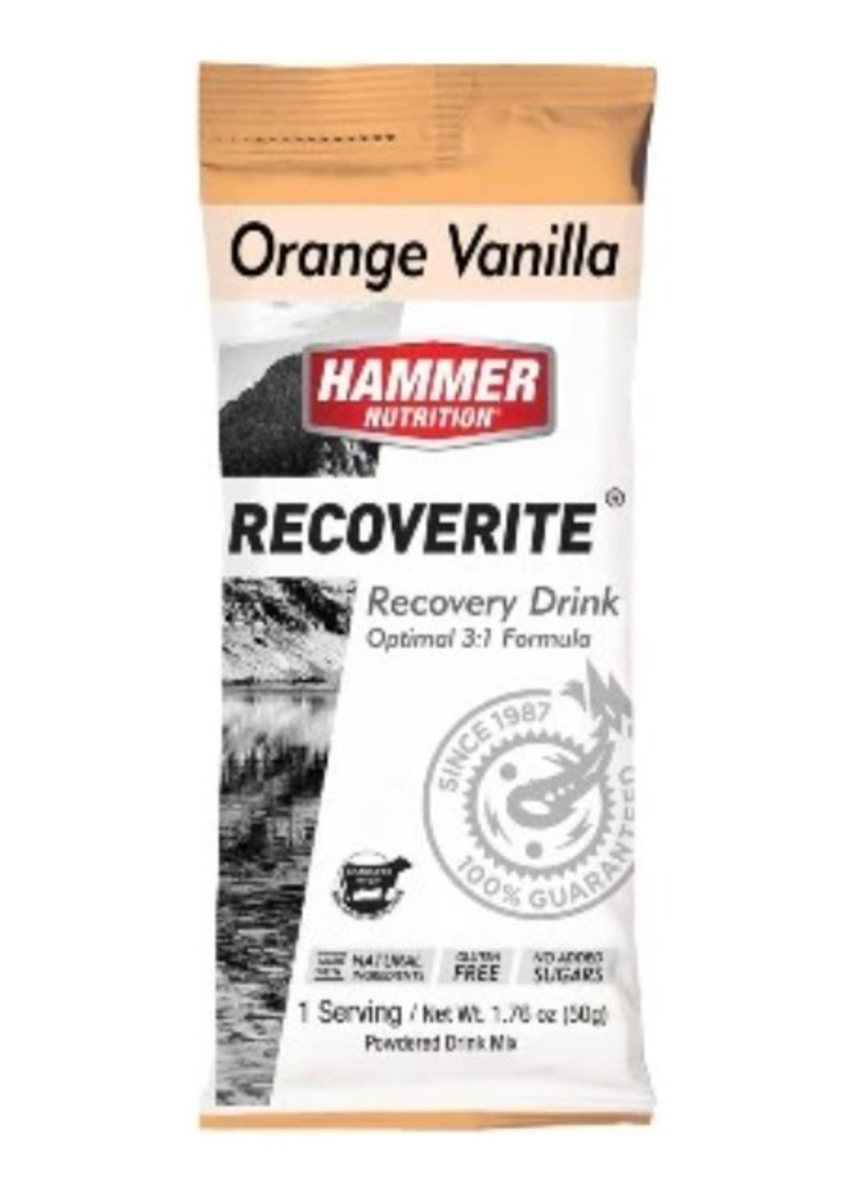 Hammer Nutrition Recoverite Original/2.0-Multiple Flavors and Sizes