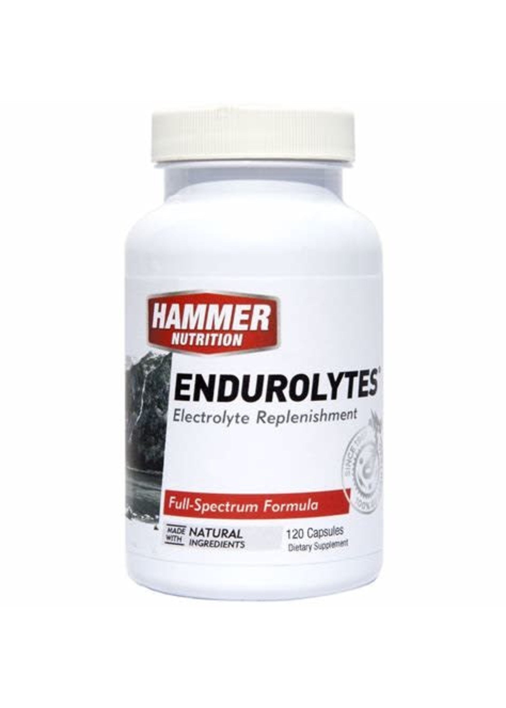 Hammer Nutrition Hammer Endurolytes (120 Caps)