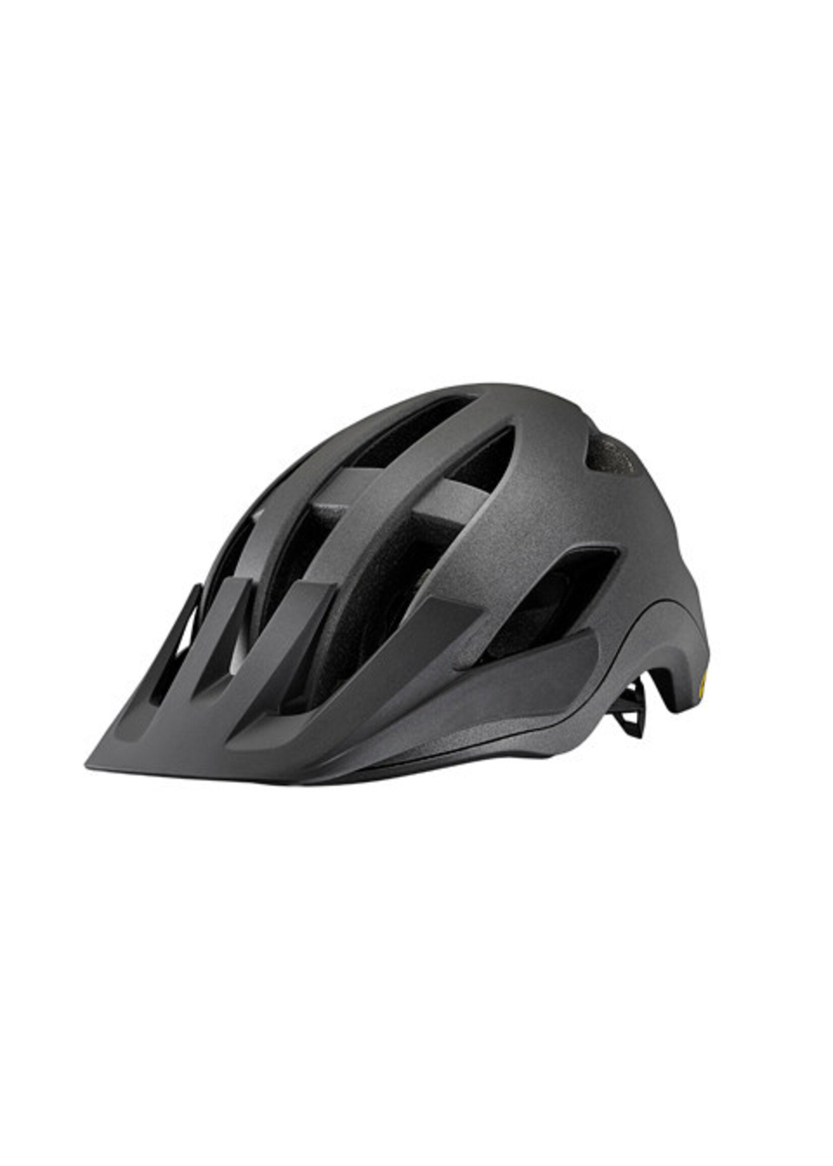 Giant GNT Roost Helmet MIPS Matte Black Diamond LG