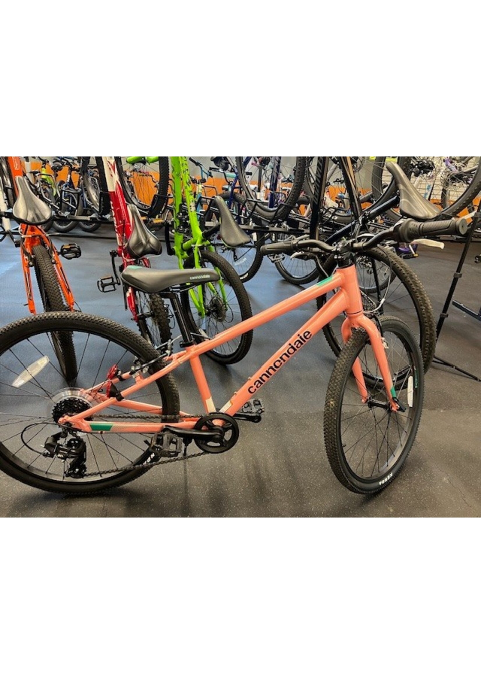 Cannondale USED 2022 Cannondale Quick  24" Pink