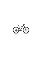 BATCH RENTAL BATCH MTB BIKE (L)  $40/DAY (B09132)