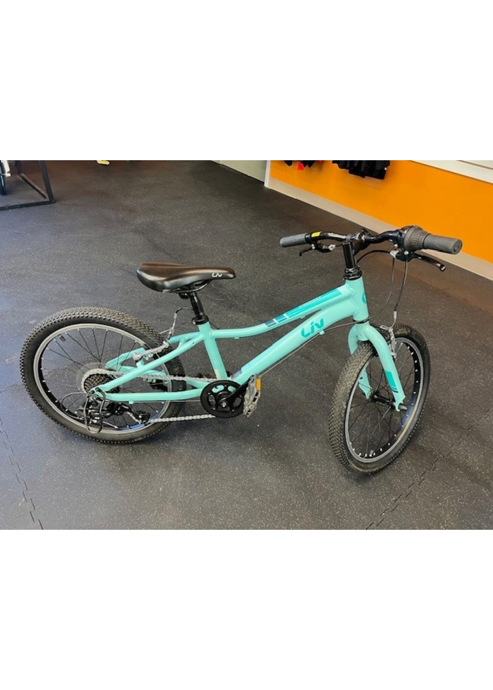 Liv Used LIV Enchant 20" Teal  MTB (New Chain & Tires)