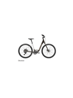 Cannondale 2026 Cannondale Treadwell 2 Low StepThru  Color Obsidian Medium
