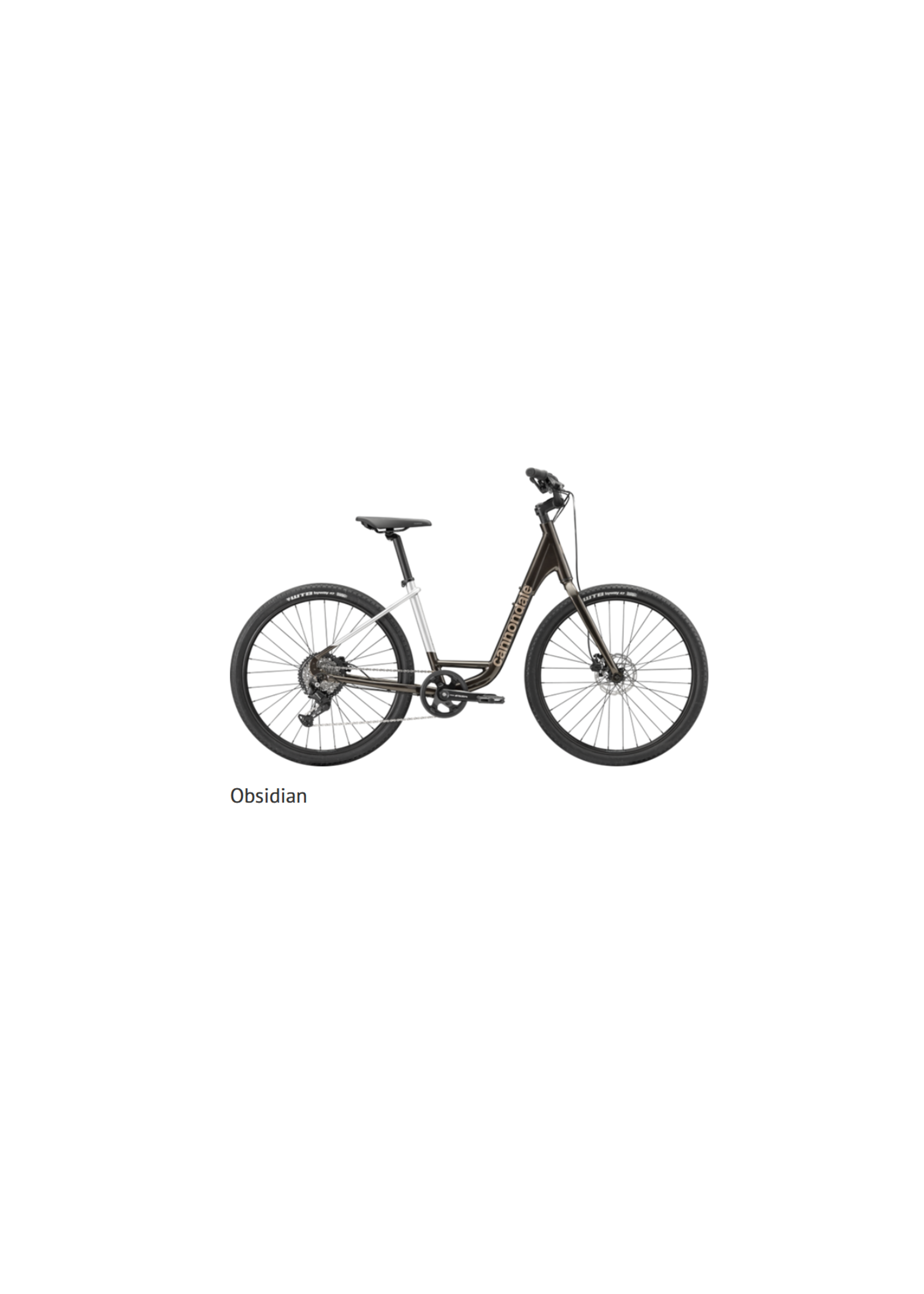 Cannondale 2026 Cannondale Treadwell 2 Low StepThru  Color Obsidian Medium