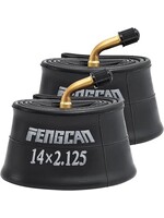 Fengcan 14 X 2.125  Tube Angled Schrader Valve