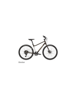 Cannondale 2026 Cannondale Treadwell 2 Stand Over Large  Obsidian
