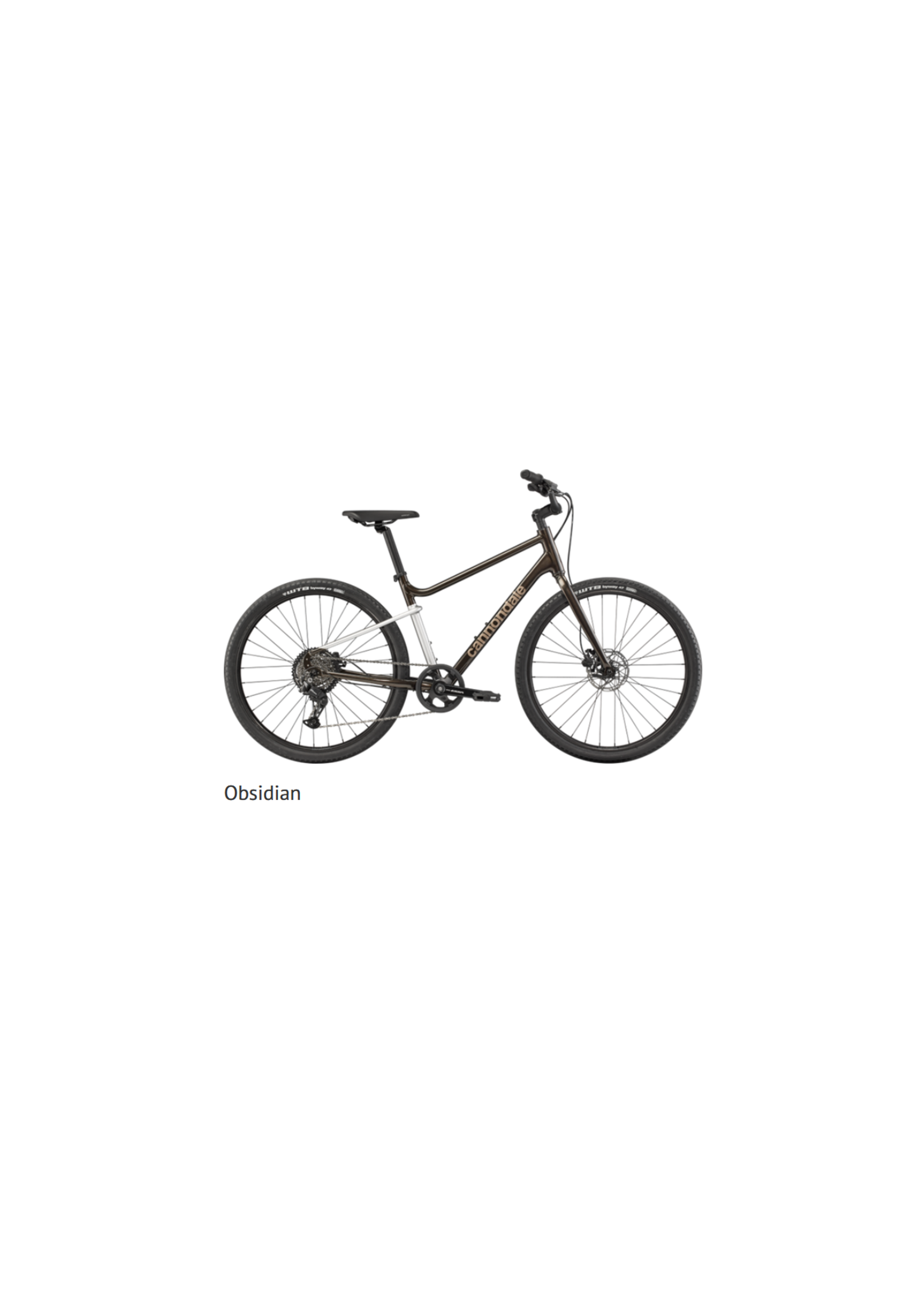 Cannondale 2026 Cannondale Treadwell 2 Stand Over Large  Obsidian