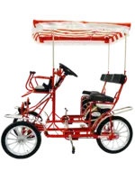 4 wheel speed Surrey Deluxe - SLIGHTLY USED