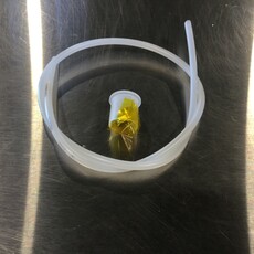 DIGITAL PRESSURE SENSOR HOSE BARB COVER FILTER SYSTEM