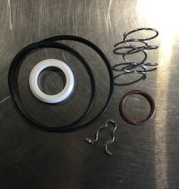 #8 PUMP INTERNAL VITON SEAL KIT