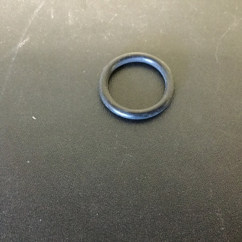 DELATRON EP100 PULSATOR ADAPTER O-RING