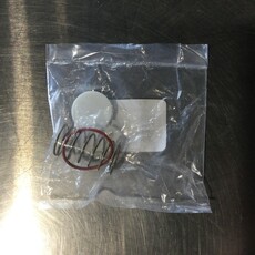 AIRTEK TW55 TWIN TOWER SERIES OUTLET CHECK VALVE KIT (REQUIRES 2)