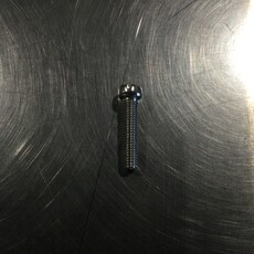 SENTINEL M350/500 DOME FILTER SCREW #10-32 X 3/4