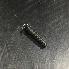 SENTINEL M350/500 DOME FILTER SCREW #10-32 X 3/4