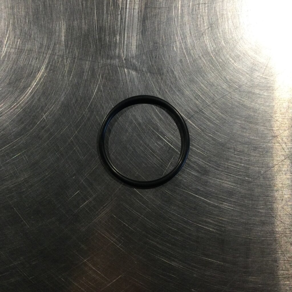 SENTINEL M350/500 TOP DOME FILTER O-RING