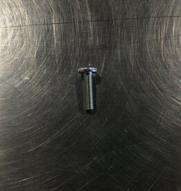 SENTINEL M350/500 FILTER PHILIPS SCREW #10-32 X 3/4