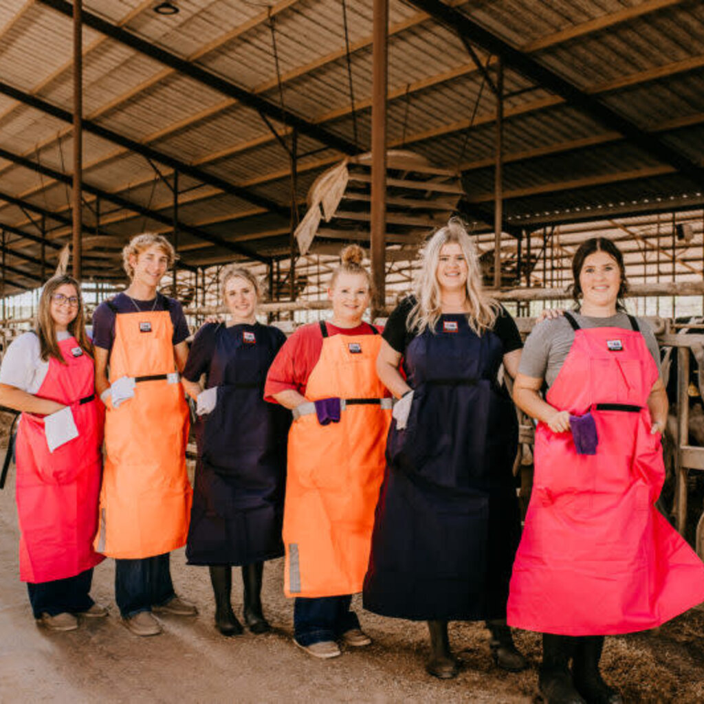 4D AG FASHION APRON W/ 2-LARGE TOWEL POCKETS NAVY BLUE (SHORT)