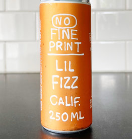 No Fine Print Lil Fizz