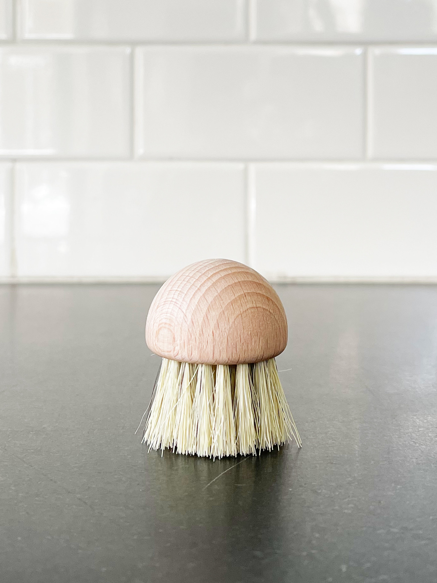 Mushroom Brush – Earth & Nest