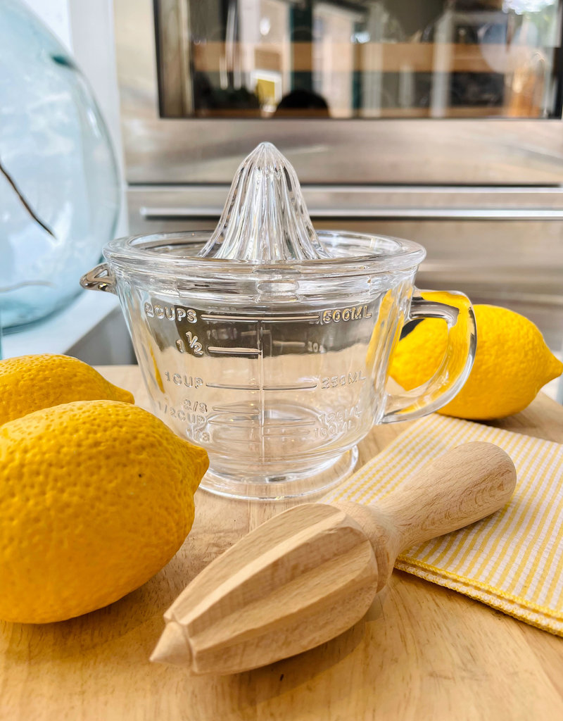 Earth & Nest Glass Citrus Juicer with Measuring Jug