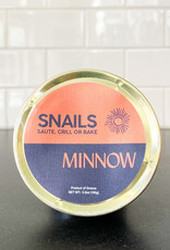 Minnow Minnow Snails