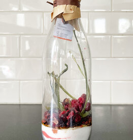 Délices Métisses Arranged Rum –Hibiscus Red Fruits