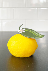 Pixie Candle Studio Pixie Candle Studio Lemon Candle