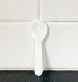 Seashell Spoons Small