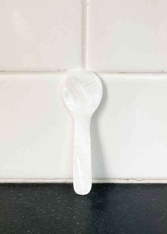 Seashell Spoons Small