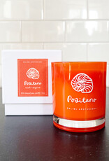 Malibu Apothecary Malibu Apothecary Positano Candle