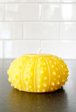 Artifaqt Artifaqt Sea Urchin  Beeswax Candle