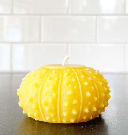 Artifaqt Artifaqt Sea Urchin  Beeswax Candle