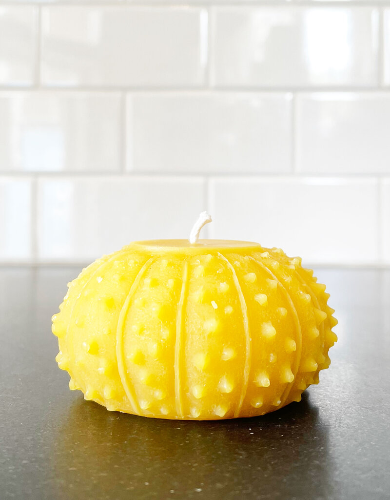 Artifaqt Artifaqt Sea Urchin  Beeswax Candle