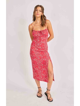 Sadie and Sage Firecracker Dress