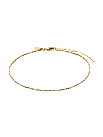 Pilgrim Ankle Chain