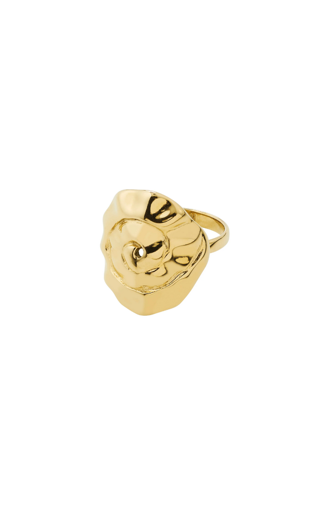 Pilgrim 112622004 Pilgrim Ring