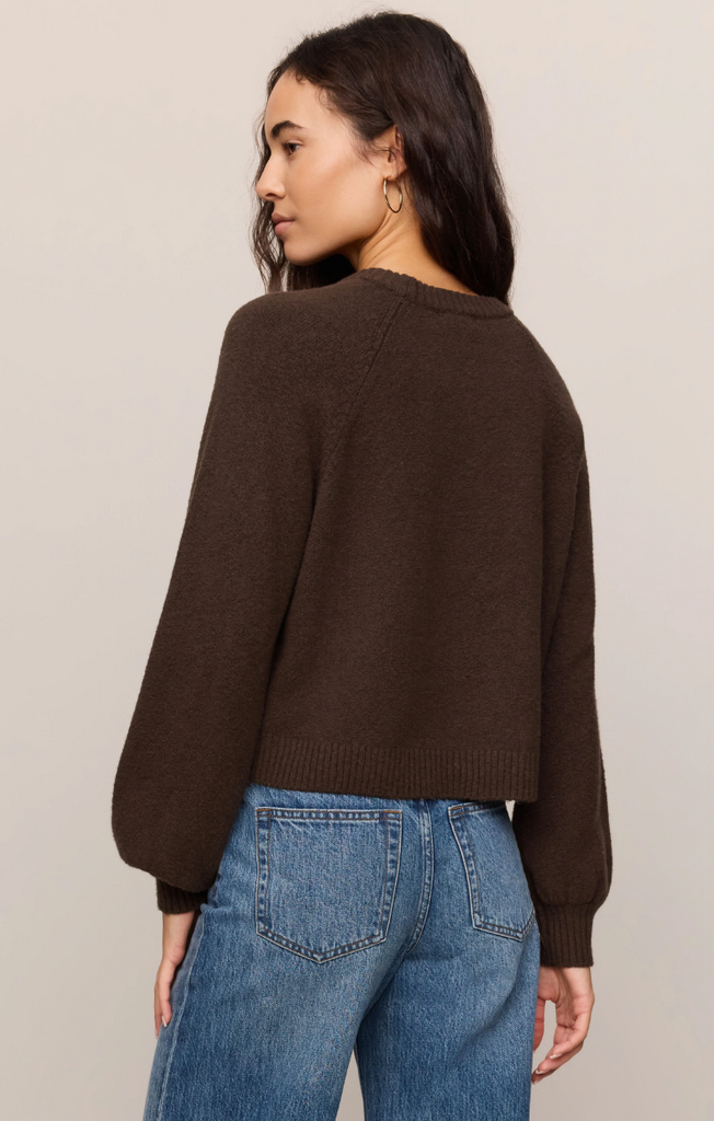 Z-Supply ZW261972 Z-Supply Coming Up Sweater