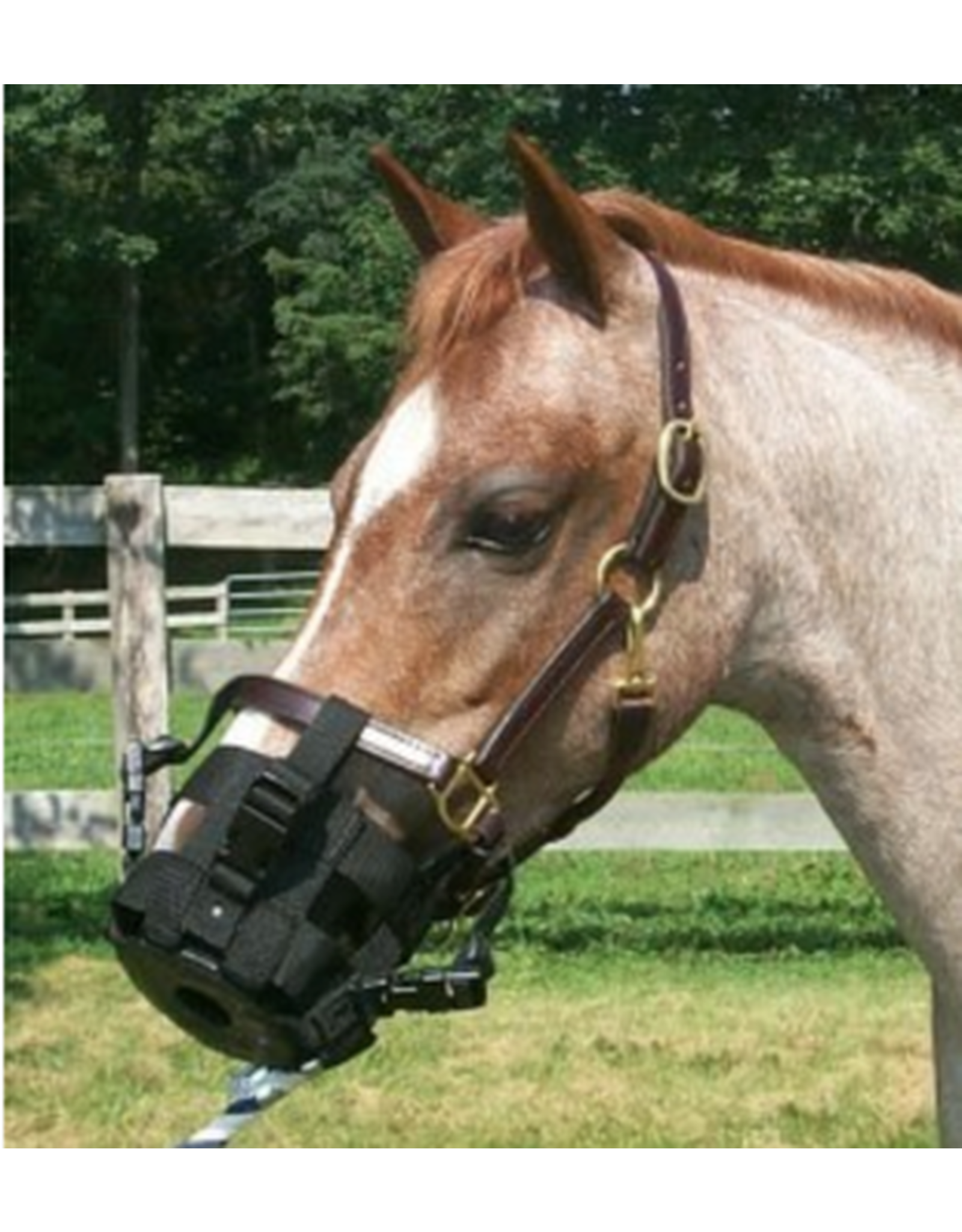 Best Friend Best Friend Clip-On Grazing Muzzle