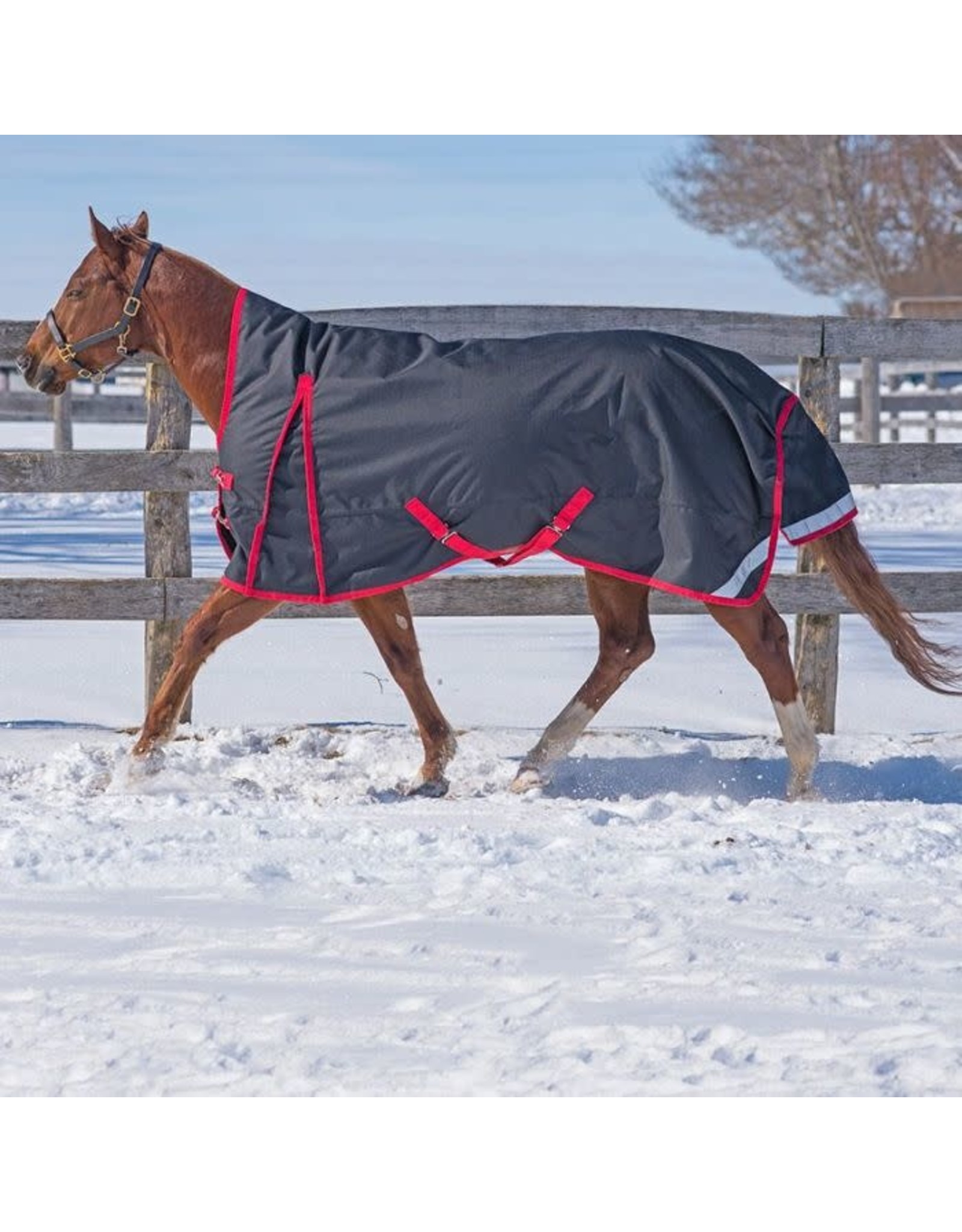 Canadian Horsewear Rainsheet