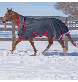 Canadian Horsewear Blanket Leg Straps - The Rusty Spur