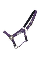 Ger-Ryan Padded Nylon Halter