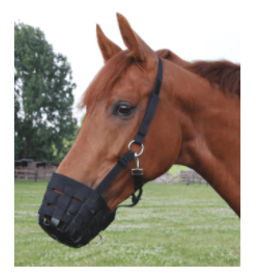 Waldhausen Waldhausen Grazing Muzzle