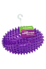 Royal Pet Gnawsome Football Squeak Medium