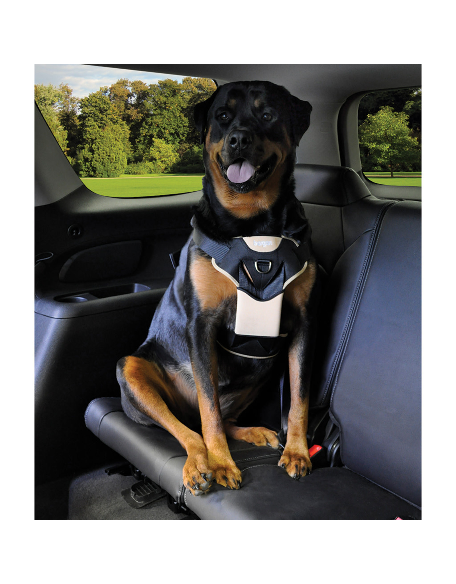 Bergan Pet Products Auto Harness Tan/Black