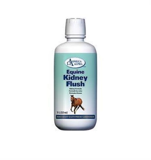 Omega Alpha Kidney Flush 1L The Rusty Spur Farm, Feed & Pet